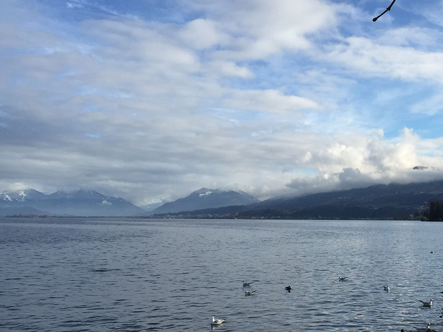 Herbstausflug auf dem Zürichsee